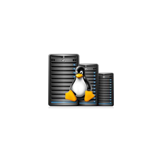 Развертывание и поддержка серверов  Windows, Linux